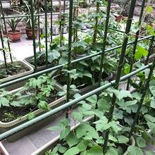 1 Set Of 25 Durable Metal Climbing Plant Support Posts, Including 26 Accessories - Vine Supports Suitable For Tomatoes, Grapes, And Water Lilies, Essential For Greenhouses And Outdoor Gardening, Height 47.2 * Length 70.8 Inches