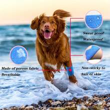 6/12 miếng băng cá nhân tự dính dùng một lần, băng thể thao, băng thoáng khí, nhiều màu sắc, thoải mái và thoáng khí, vải không dệt mềm mại, chống thấm nước, dùng để bảo vệ cổ tay, đầu gối, mắt cá chân, cũng thích hợp cho chăm sóc thú cưng, bảo vệ chống trượt khi xăm hình, vật dụng cần thiết cho nghệ sĩ xăm hình tại lễ hội âm nhạc, phụ kiện xăm hình, vật tư xăm hình, quà tặng ngày Valentine, băng cho thú cưng, quà tặng ngày của mẹ, hình xăm tạm thời. - Nhiều màu - Xem 4