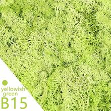 20g Musgo verde artificial preservado, manualidades de jardín DIY, decoración del hogar, paisaje en miniatura de césped artificial - Multicolor - Ver 19
