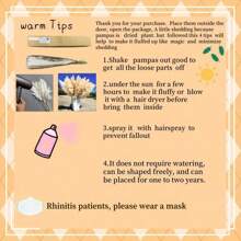 Set da 10/20 pezzi, fiori secchi soffici per decorazione, erba pampas alta, ideale per decorare tavoli da matrimonio bohémien (smontaggio all'aperto), decorazioni autunnali