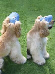 Adjustable Summer Dog Hat With Ear Holes, Breathable Polyester Baseball Cap For Small To Medium Dogs, Sun Protection Outdoor Hiking Pet Accessory