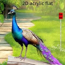 2D Flat Acrylic Is Not 3D. One Piece Of Bohemian-Style Acrylic Material Peacock Garden Fence Decoration Garden Ground Stick - A Vibrant Peacock-Themed Art Piece With A Rich Floral Background. It Is Suitable For Outdoor Lawns, Gardens, And Bonsai Decoration. The Perfect Gift For Nature Lovers. Modern Garden Art, A Vibrant Outdoor Decoration, The Best Choice For Giving As A Gift - Multicolor - View 6