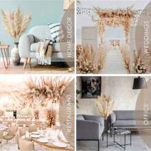 Set da 10/20 pezzi, fiori secchi soffici per decorazione, erba pampas alta, ideale per decorare tavoli da matrimonio bohémien (smontaggio all'aperto), decorazioni autunnali