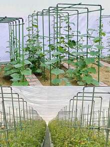 Juego de enrejado para plantas ajustable de 24 piezas/36 piezas/42 piezas que incluye accesorios de conexión, de altura 80 cm/120 cm/160 cm, conjunto de estructura de escalada de rejilla metálica de jardín, kit de varillas de soporte recubiertas de PE verde para frutas, verduras, enredaderas y flores - Multicolor - Ver 11