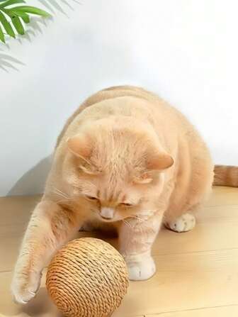 1pc Pet Cat Toy Ball Cat Sisal Ball Paper Bite Toy Resistant To Bite, Wear, Scratch, And Relieve Bored Cat Teasing Stick Resistant To Bite Suitable For Cat Soothing Toys Suitable For Cats To Relieve Bored Use Vocal Pet Toy Supplies