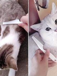 2 件装二合一宠物钢针脱毛刷，温和脱毛工具，符合人体工程学手柄，耐用 PVC 材料，适用于脱毛、去除泪痕、去除跳蚤、毛发梳理 - 彩色 - 查看 2