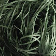 1 Paquete de 50/100g de Tiras de Papel de Rafia de Colores Surtidos, Relleno para Cajas de Regalo, de Vuelta a la Escuela - Multicolor - Ver 29