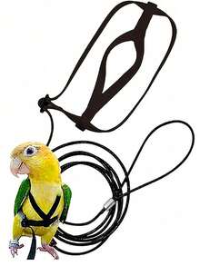 1 Set Parrot Harness Style Leash Pet Training Toy, Suitable For Walking Birds Outdoor - Black - View 11