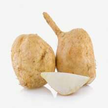 176 Stück Non-GMO Jicama Samen Erbstück Mexikanische Yambohnen Mexikanische Radieschen Samen zum Pflanzen in einem Garten oder Hausgemüsegarten