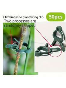 10/20/50 robuste Plastikklemmen, entworfen um Gartenpflanzen zu unterstützen - grüne Hebelringe Klemmen, geeignet für Rankgewächse, perfekt zum Verwalten von Stängeln und Zweigen, kommt mit Unterstützung für Tomaten- und Gurkenpflanzen.