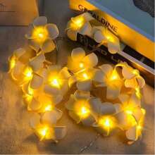 LED Egg Flower Light String Combines Tropical Egg Flower Shape With LED Light String To Form A Decoration That Combines Natural Beauty And Light And Shadow Effects