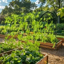 つる棚 支柱 園芸 アーチ 家庭菜園 畑 つる棚 ガーデンアーチ ガーデニング バラ 栽培支柱 トンネル支柱 ネット きゅうり 160cm 庭 大型 野菜 錆びない 耐候性 雨除け支柱 園芸用品 金具 鉄製 - ブラック - チェックする 3