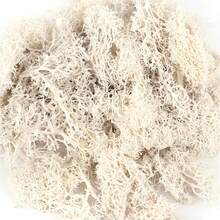 20g Musgo verde artificial preservado, manualidades de jardín DIY, decoración del hogar, paisaje en miniatura de césped artificial - Multicolor - Ver 20