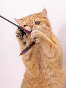 5/10 pezzi Bacchetta interattiva per gatti con campanello - Giocattolo per gatti lungo 20" per gattini e gatti adulti (con accessori in piuma/nastro, durevole)