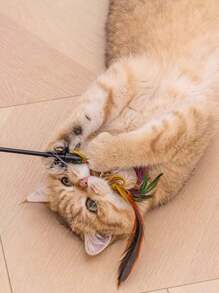 5/10 pezzi Bacchetta interattiva per gatti con campanello - Giocattolo per gatti lungo 20" per gattini e gatti adulti (con accessori in piuma/nastro, durevole)