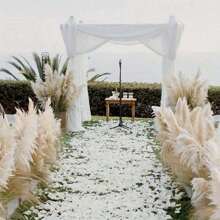 Set da 10/20 pezzi, fiori secchi soffici per decorazione, erba pampas alta, ideale per decorare tavoli da matrimonio bohémien (smontaggio all'aperto), decorazioni autunnali