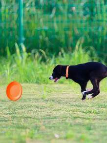 2 pièces Jouets pour animaux de compagnie résistants à la morsure, flottants, jouets moelleux, OVNI, jouets d'entraînement, doux et résistants à la morsure, jeux d'entraînement pour chiens ne blessent pas les dents