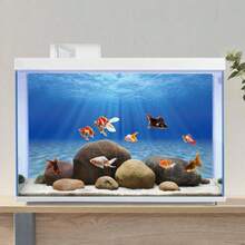 阳光海滩主题装饰画，适用于鱼缸背景，水族箱背景，鱼缸贴纸，爬虫缸背景，水族箱阳光水下风景设计，水族箱装饰配件 - 彩色 - 查看 9