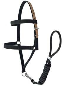 Cabresto para Cavalos em Fita 25mm dupla com Regulagens em Couro Legítimo + Cabo Removível