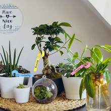 100 Pcs Hanging Gardening Labels Reusable Plastic Plants Markers Weatherproof Adjustable Wrap Around Tree Name Tags For Seedlings Flowers Outdoor Garden Identification - Multicolor - View 4