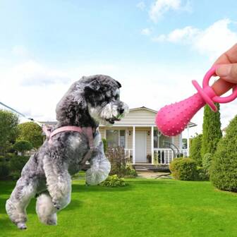 1pc Pet Dental Cleaning Toy - Provides Interactive And Entertaining Chewing Experience For Small Dogs And Puppies, With Bell On Chew Stick, Suitable For Small Cats/Dogs. Use Caution For Medium/Large Dogs As Risk Of Damage