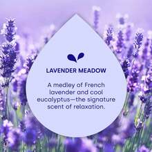 Dropps Odor And Stain Biobased Power Laundry Detergent Pods - Lavender Meadow - 40ct/12.6oz - 1 - 查看 6