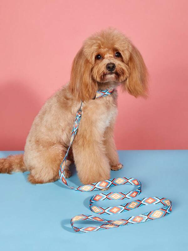 1 Pieza Correa Y 1 Pieza Collar Impreso Conjunto De Correa Para Mascotas Para Caminar Perros Pequeños Y De Tamaño Mediano