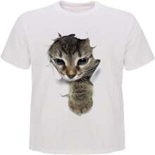 Women T-Shirts