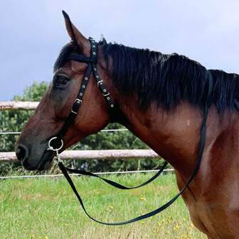 Horse Bridle Adjustable Snaffle Noseband Nylon Equine Noseband Reins For Women Men Soft Lined Trail Riding Equestrian Supplies