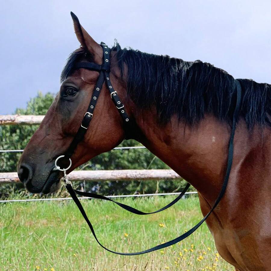 Adjustable Horse Bridle With Stainless Steel Bit - Equestrian Bridles And Horse Headstall