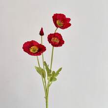 5 piezas/1 pieza Flores de amapola de seda artificial multicolor, ramo de flores de amapola falsas para boda, fiesta, decoración interior/exterior, jarrón, mesa, oficina, regalos de vacaciones y graduación - Multicolor - Ver 15