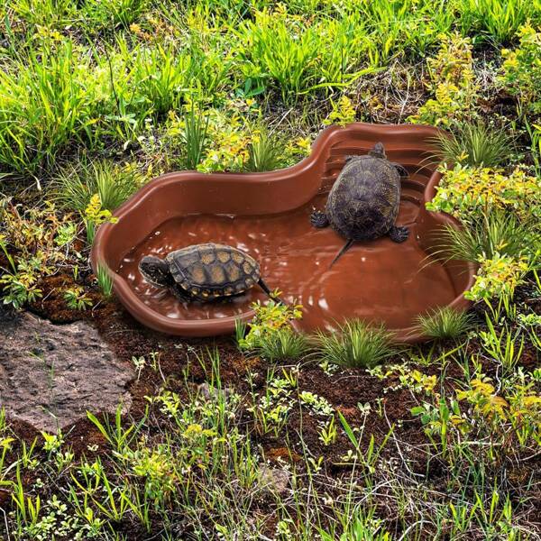 Extragroßer Reptilien-Badebecken Reptilien Futter Napf Wasserschale mit Rampe Aquarium Ornament für Gecko, Schlangen, Schildkröten, Bartagame, Eidechsen Bad (Braun) langanhaltend MATERIAL: Die Reptilien-Rampen-Platte ist aus Kunststoff gefertigt, sehr haltbar und robust, mit hoher Bruchfestigkeit, rutschfest, einfach zu reinigen
