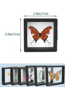 4/8/12 件浮动展示盒，3D 浮动框架展示架，透明 PE 珠宝收纳盒，适用于挑战币、AA 奖章标本、芯片、昆虫、植物标本、珠宝