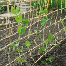 1M*5M / 2M*5M Plant Support Netting Jute Twine Trellis Netting Natural Pea Plants Sweet Peas - Linen - View 4