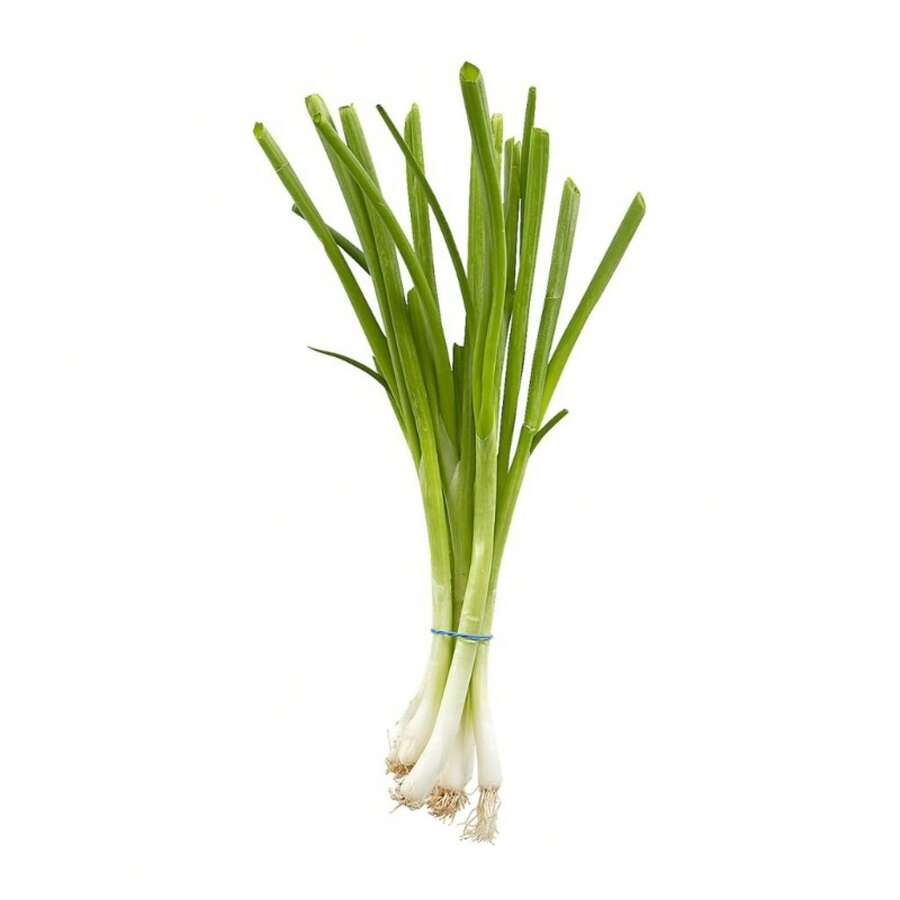 Chinese Scallion Dahong Sibuyas Vegetable Seeds ( 1000 Seeds ) - Basic Farm House - Variant1 - View 1