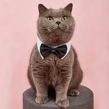 1 PC Pet Dog Cat Adjustable Bow Tie Collar Puppy Necktie Bowknot Bowtie Pet Cat Holiday Wedding Decoration Accessories For Small Dogs - Black and White - View 2