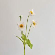 5朵/1束多色人造丝罂粟花，仿真罂粟花束，适用于婚礼、节日派对、室内/室外、花瓶、桌面、办公室装饰、节日和毕业礼物 - 彩色 - 查看 18