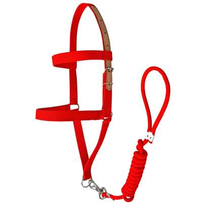 Cabresto para Cavalos em Fita 25mm dupla com Regulagens em Couro Legítimo + Cabo Removível