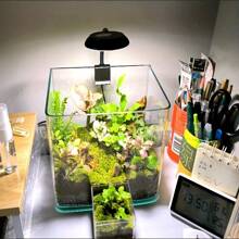 1pc Mini LED Aquarium Clip Light, USB Powered, High Brightness, Transparent, Adjustable 360° Rotation, Suitable For Fish Tanks - Compact Desk Lighting For Aquatic Plants