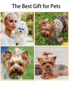 20 de bucăți accesoriu de păr cu fundă mov pentru animale de companie, mănunchi de cauciuc cu frânghie de păr pentru animale de companie pentru îngrijirea părului de animale de companie cu păr lung, decorare pentru păr de animale de companie, cel mai bun cadou de ziua de naștere pentru animale de companie drăguțe, cadouri decorative, articole pentru animale de companie, accesorii pentru păr de animale de companie