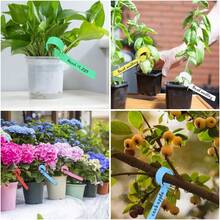 100 Pcs Hanging Gardening Labels Reusable Plastic Plants Markers Weatherproof Adjustable Wrap Around Tree Name Tags For Seedlings Flowers Outdoor Garden Identification - Multicolor - View 3