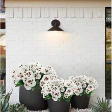 1 件/3 件，人造塑料花，三色堇雏菊，适用于家庭厨房、婚礼派对场景布置、花园餐桌中心装饰，室内外均可 - 彩色 - 查看 12