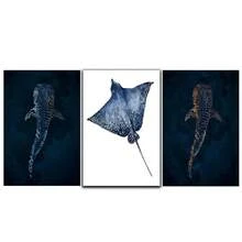 3 件套优雅海洋帆布墙面艺术动物海报黄貂鱼-鲸鲨导航家居装饰画可选画框 - 彩色 - 查看 12