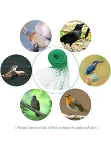 1 Pc Bird Protection Net, Garden Plant Mesh, Protecting Plants And Fruit Trees From Birds, Deer, Poultry, Best Fencing Anti-Bird Net Garden Net Orchard Anti-Bird Net Polyethylene Anti-Bird Net Extrusion Anti-Bird Net Grape Anti-Green Anti-Bird Net