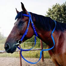 Adjustable Horse Bridle With Stainless Steel Bit - Equestrian Bridles And Horse Headstall