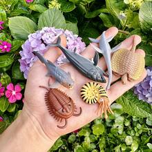 22 件海洋动物雕像 - 22 件史前海洋生物 - 7 件深海鱼，手绘逼真迷你令人难以置信的海洋生物玩具，适合儿童，鲨鱼、鲸鱼、海豚、企鹅、海象、海狮、沙丁鱼、海星、蝠鲼、海牛等海洋动物模型，适合男孩女孩，很棒的洗澡玩具生日蛋糕装饰模型教育学校项目派对礼物玩具圣诞礼物