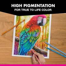 72 支装 Prismacolor Premier 铅笔，软芯，非常适合素描、绘画、艺术、着色，多种颜色可供选择，适合返校季 - 彩色 - 查看 5