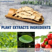 30/60/90pcs Ginger Slices & Pill Stickers - Easy-To-Use, Portable For Menstrual, Muscle & Joint, Cold & Symptoms - Natural Patches With Adhesive Patches, Ginger Supplement, Menstrual Patches, Simple Design, Easyapplication Patches