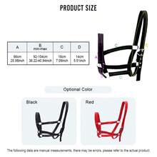 1 pieza Cabezada ajustable para caballos, Cabezada de arnés de cinta de polipropileno de 2,5 cm de ancho, Adecuada para diversos escenarios de entrenamiento y equitación, Esencial para la equitación al aire libre - Multicolor - Ver 8