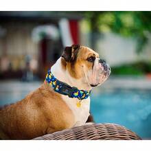 Lionheart Glory 狗项圈鸭子图案可爱项圈适合中型犬春夏季母犬或公犬项圈宠物礼物可调节重型宠物项圈 - 水鴨藍 - 查看 6